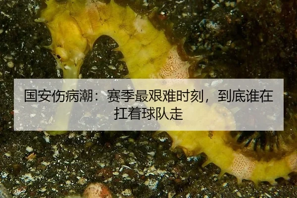 国安伤病潮：赛季最艰难时刻，到底谁在扛着球队走